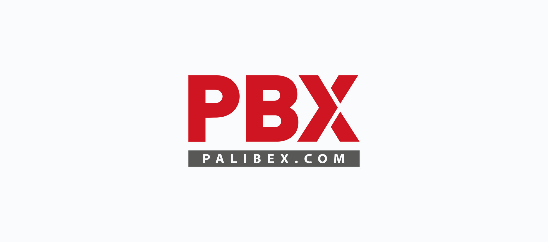 diseño logotipo - Beusual - diseño grafico santander - Palibex - PBX