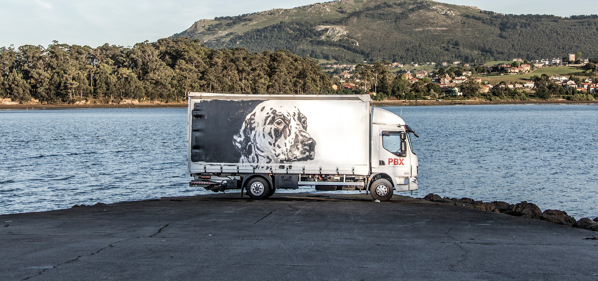 SANTIAGO-YDANEZ - TRUCK ART PROJECT - 2